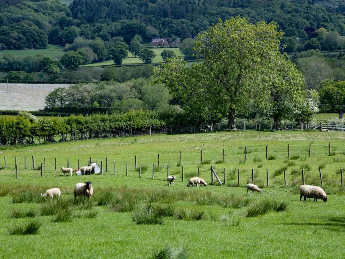Broughton Stables Villa Montgomery Luaran gambar